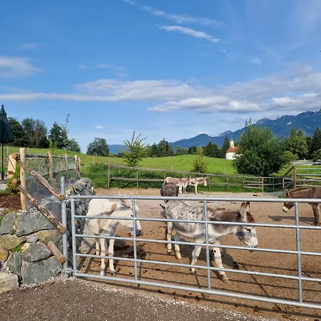 Allgäumax * Füssen